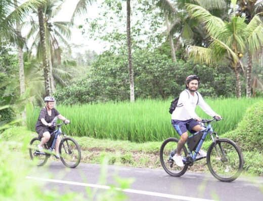 eBikes Ubud Tour contextual photo